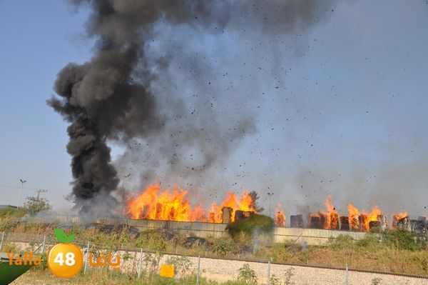 firecartoonsecnd506 (6).JPG